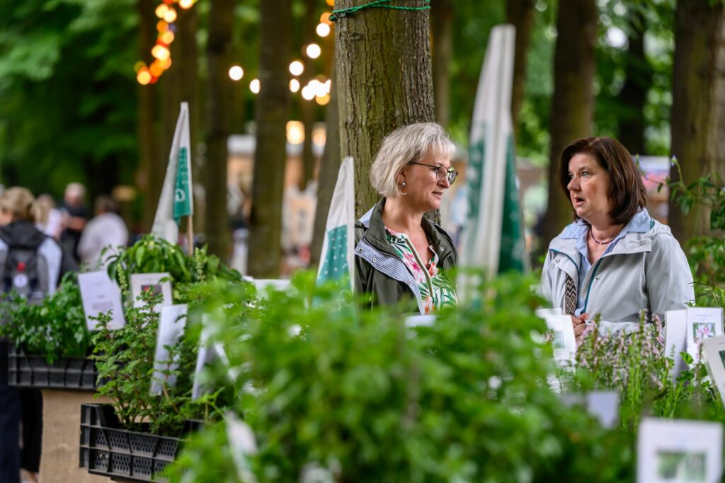 47. Fest am See im Schlosspark Wickrath 2024 (Foto: @ Carlos Albuquerque)